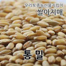 쌀아지매메밀