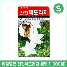 82d72898-27db-4ca9-bffc-96a0bacca63c.jpg