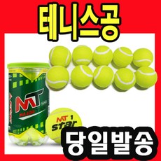 테니스공 스타 테니스 공 메이저투어 연습용 놀이, (선택02) 다용도테니스공-10개입