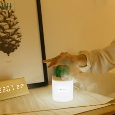 diy선인장가습기
