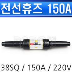 220v15a퓨즈