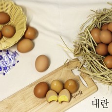 구운달걀