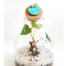 자연소년 New 테라리움6종류, A야옹하트