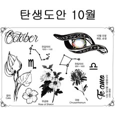 정해빛나