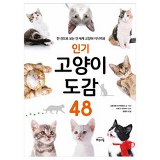 고양이도감
