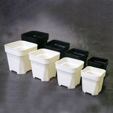 다육이야기 플라스틱화분 플분 사각화분 정리대장, 화이트