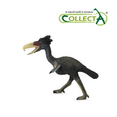 collecta