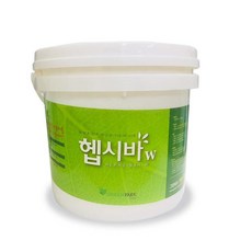 헵시바