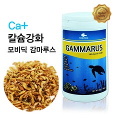 모비딕 감마루스 1000ml, 1L, 1개