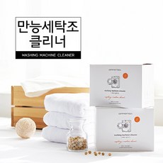 커먼하우스 만능 세탁조클리너, 160g, 1개