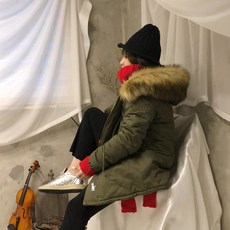 이누스코지브릭