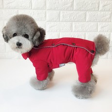 멍브라운