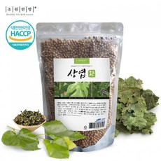 테크놀로지의세계플러스