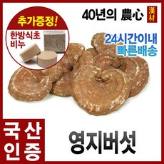자애인 국산 영지버섯 (통) 300g 통영지버섯 건조버섯, 1개
