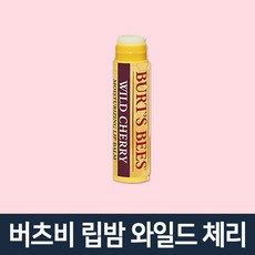 비체밤