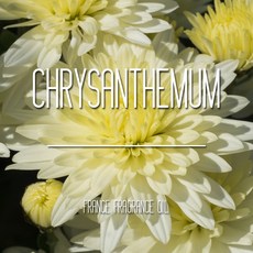 프래그런스오일향수