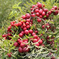 aea33e25-fa99-4df7-8d89-b30d9c4913f4.jpg