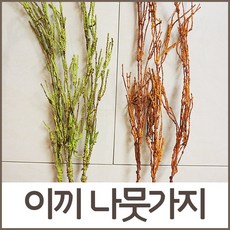 포마4000