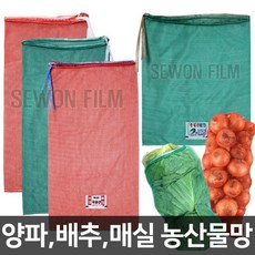 배추1망