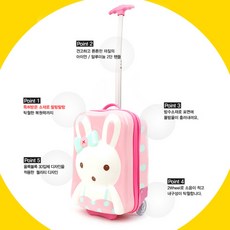 로라앨리유아캐리어