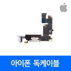 바라보고라이트닝독