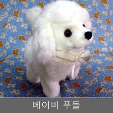 베이비펫아기푸들