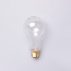 블룸 일본 마리모 꾸미기_전구 모양 펫트병