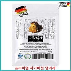 [독일]SIGMATIC-CHAGA 프리미엄 차가버섯 덩어리(조각) Superfood, 1개, 100g