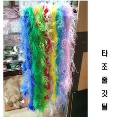 깃털숄