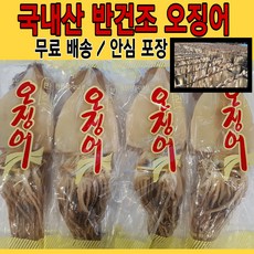 제주준치