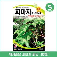 //상품명