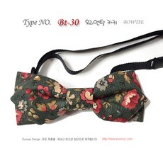 bt30-npu8라우터