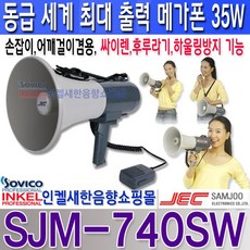 전자메가폰