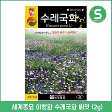 솔림텃밭몰 수레국화씨앗 2g 수레국화 꽃씨앗 꽃씨 야생화