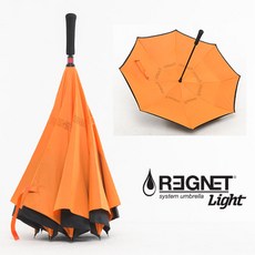 레그넷라이트