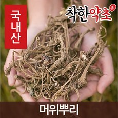 국내산 머위뿌리 200g, 1개