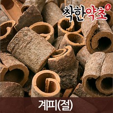 약용계피