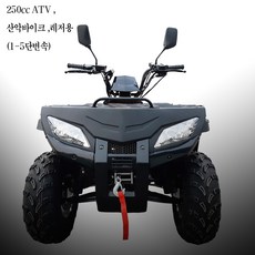 우리모터스 250cc ATV 산악바이크 사륜오토바이 레저용 사륜바이크, 블랙