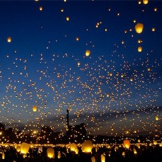 미드썸머나잇프래그런스오일