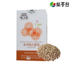 연근분태