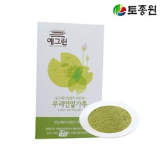 연근분태