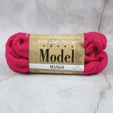 모델망고실