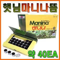 단전강화