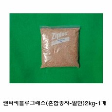 캔터키블루