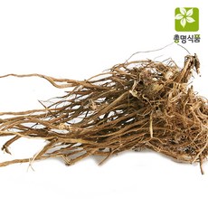 속단