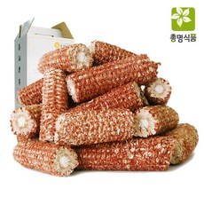 옥수수속대가글