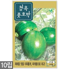 //상품명