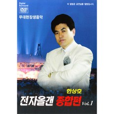 겨울연가dvd