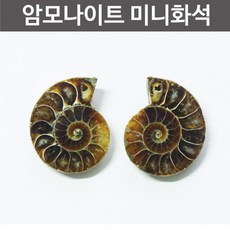 미니암실