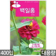 대전꽃원데이클라스